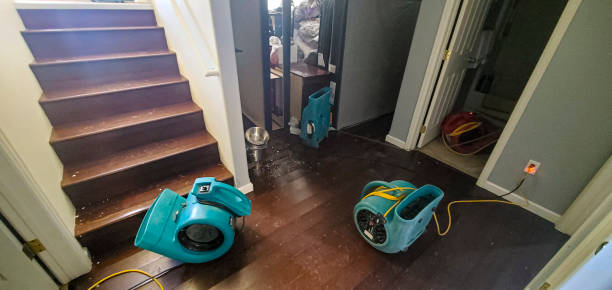 Best Local water damage restoration  in Bowdon, GA