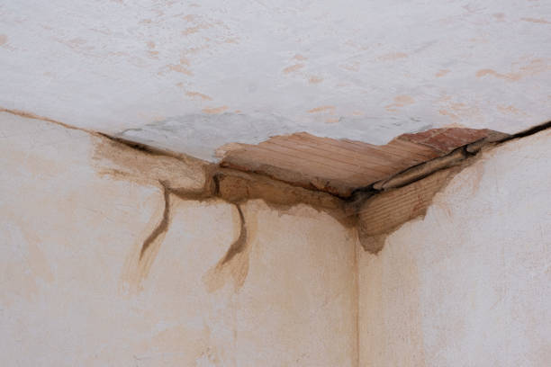 Best Basement water damage restoration  in Bowdon, GA