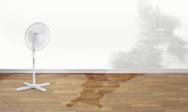 Best Flood damage cleanup  in Bowdon, GA