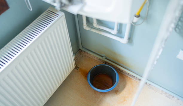 Best Basement water damage restoration  in Bowdon, GA
