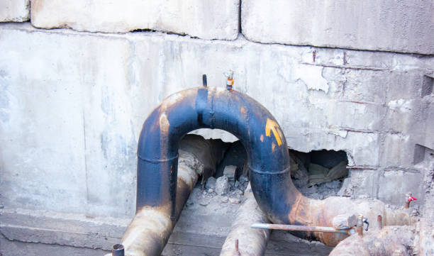 Best Basement water damage restoration  in Bowdon, GA