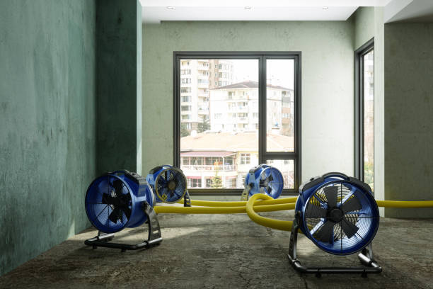 Best Flood restoration services  in Bowdon, GA