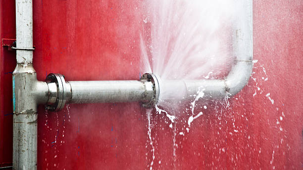 Best Carpet water damage restoration  in Bowdon, GA
